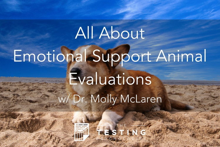 Emotional Support Animal Evaluations
